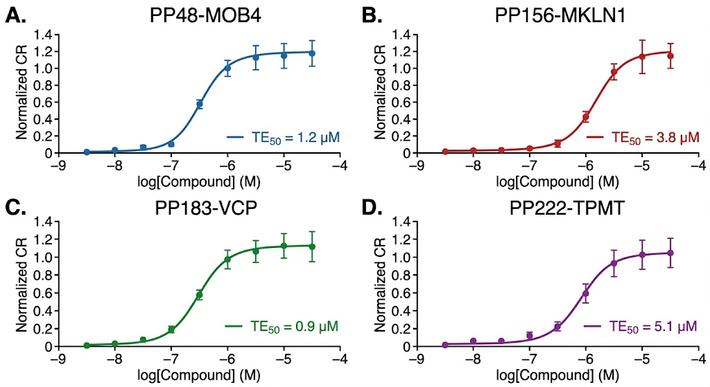 Selectivity heatmap comparing four structurally related chloroacetamide fragments across all quantified cysteine sites, showing how subtle structural changes shift selectivity profiles.