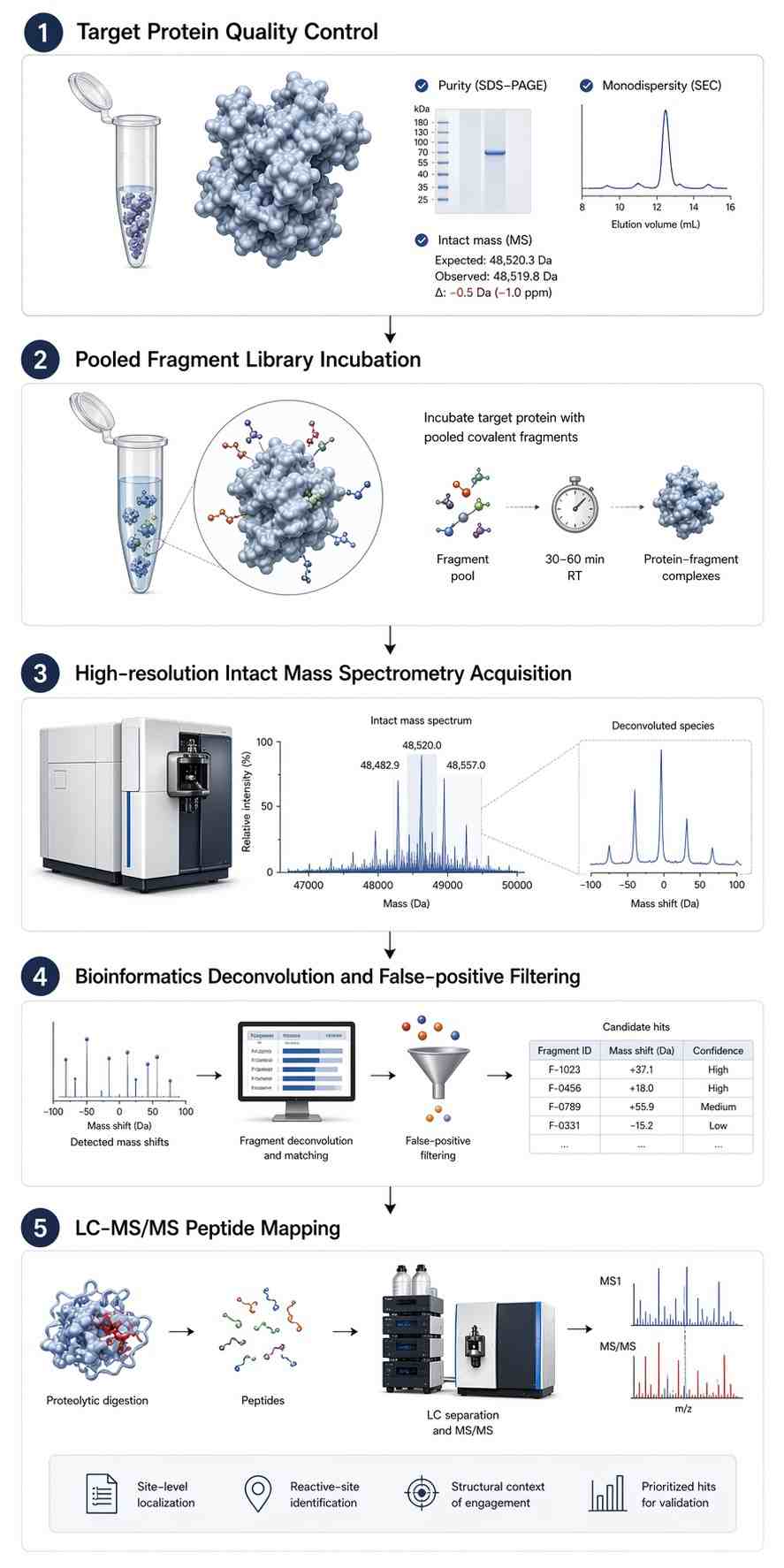 A longitudinal scientific flowchart in Nature journal style showing: Target protein QC, Pooled fragment incubation, Intact MS acquisition, Deconvolution filtering, and LC-MS/MS Site Mapping.
