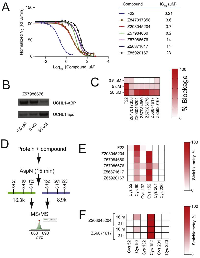 Figure 4 from PMC11702861 showing intact MS confirmation of covalent fragment hits.