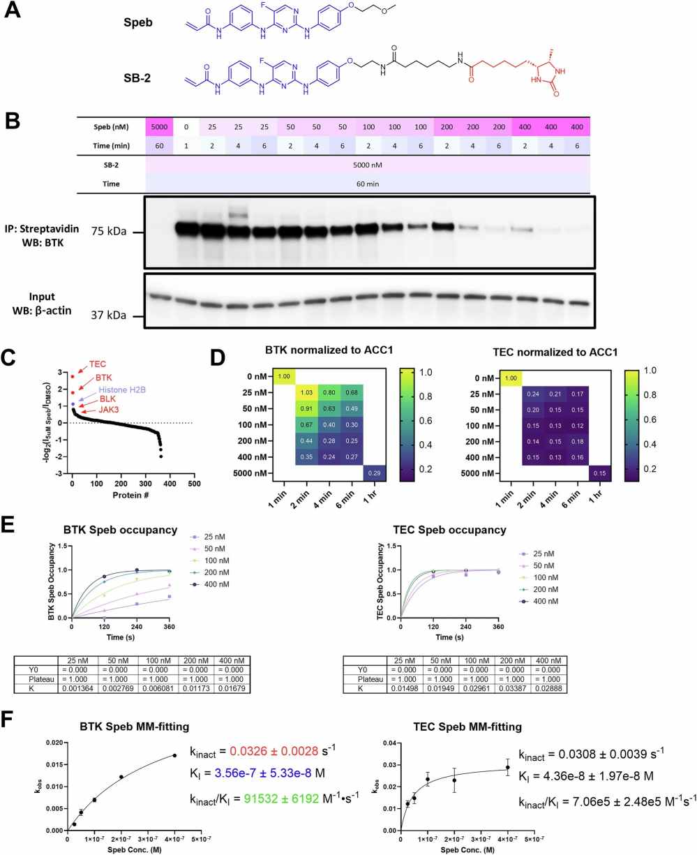 COOKIE-Pro covalent inhibitor profiling results showing spebrutinib target and off-target analysis with BTK and TEC kinetic fitting.