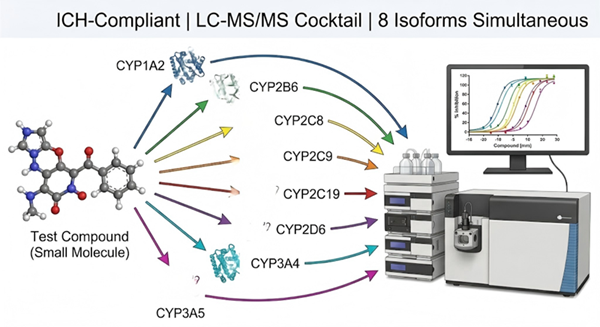 CYP450 inhibition panel LC-MS/MS cocktail assay concept — compound incubates with 8 CYP isoforms and probe substrates, detected by LC-MS/MS, outputting IC50 curves