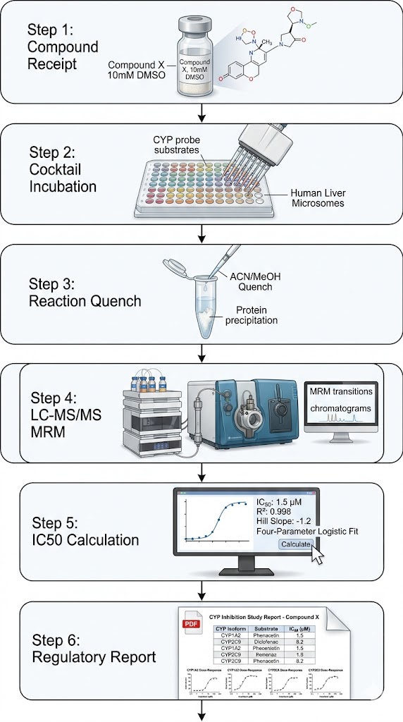 CYP450 inhibition LC-MS/MS cocktail assay workflow — 6 steps from compound receipt to regulatory report