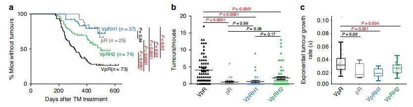 Decoding HIF's Role in Tumorigenesis: Transcriptomics & Proteomics