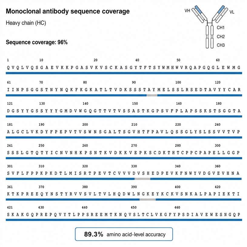 De novo sequencing coverage map monoclonal antibody
