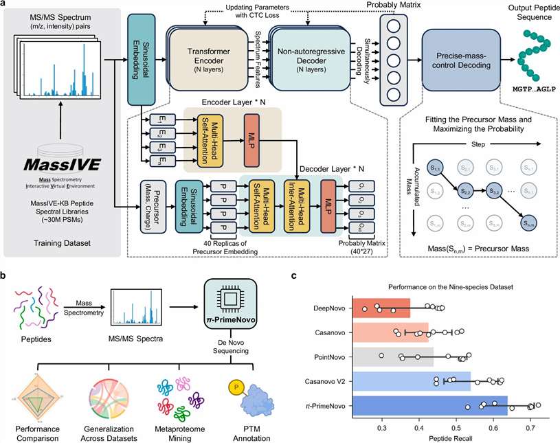 π-PrimeNovo non-autoregressive deep learning model for de novo peptide sequencing