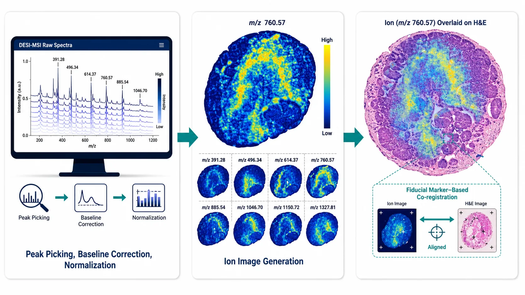 DESI Data Analysis Pipeline with Histology Co-Registration