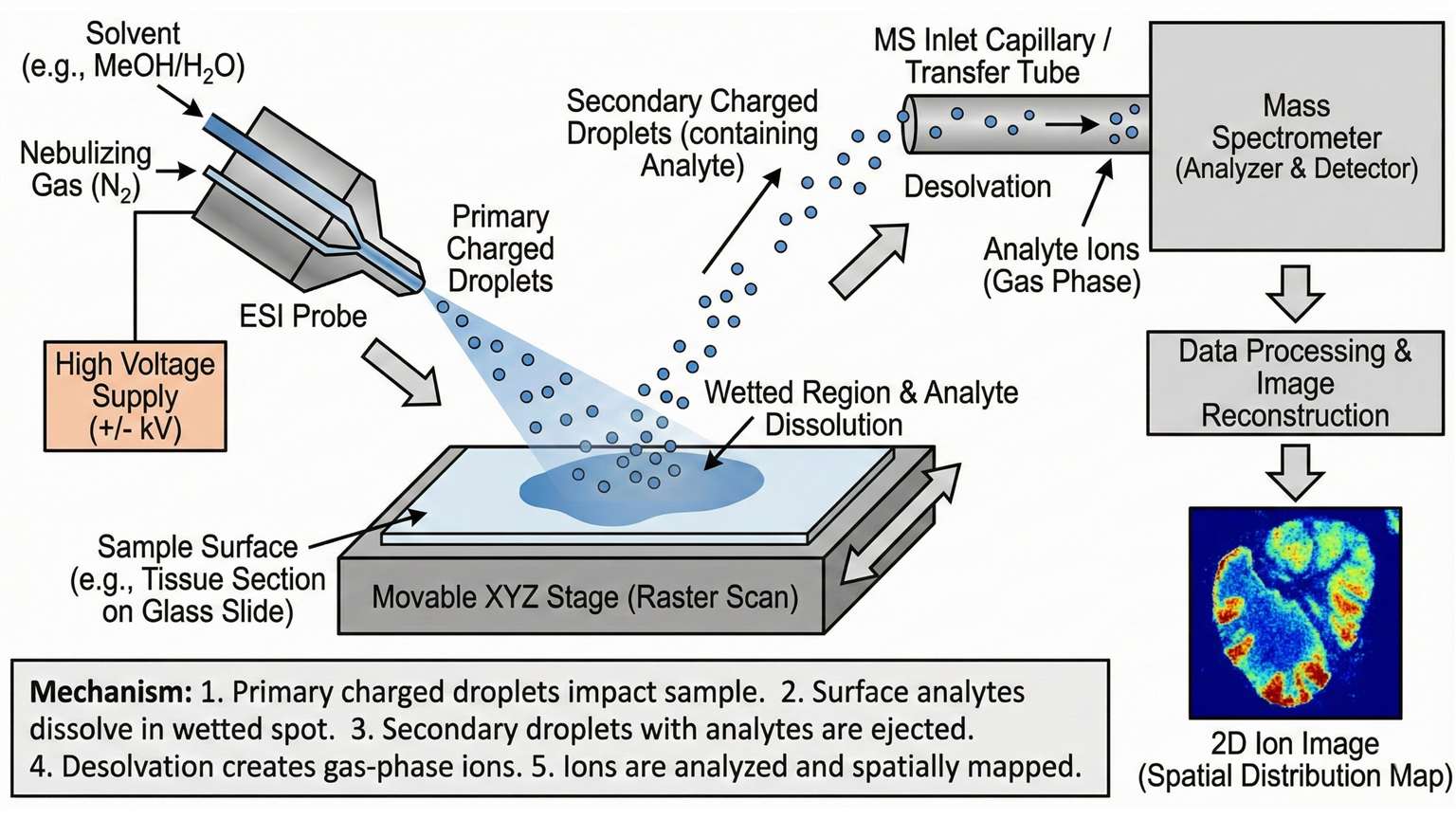 DESI-MSI mechanisms