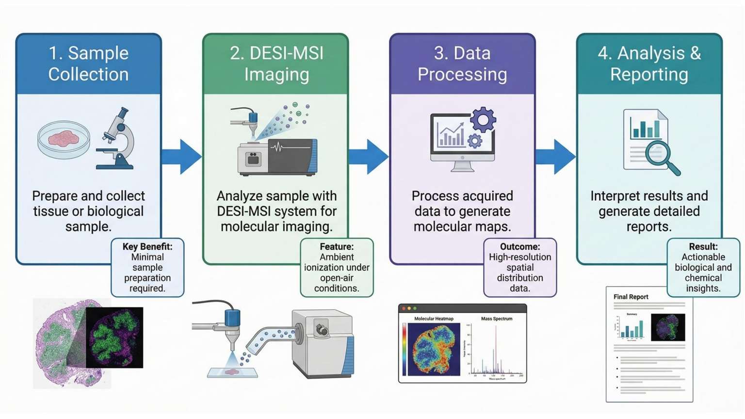 DESI-MSI workflow