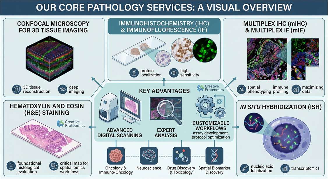 overview of Digital & Molecular Pathology Service
