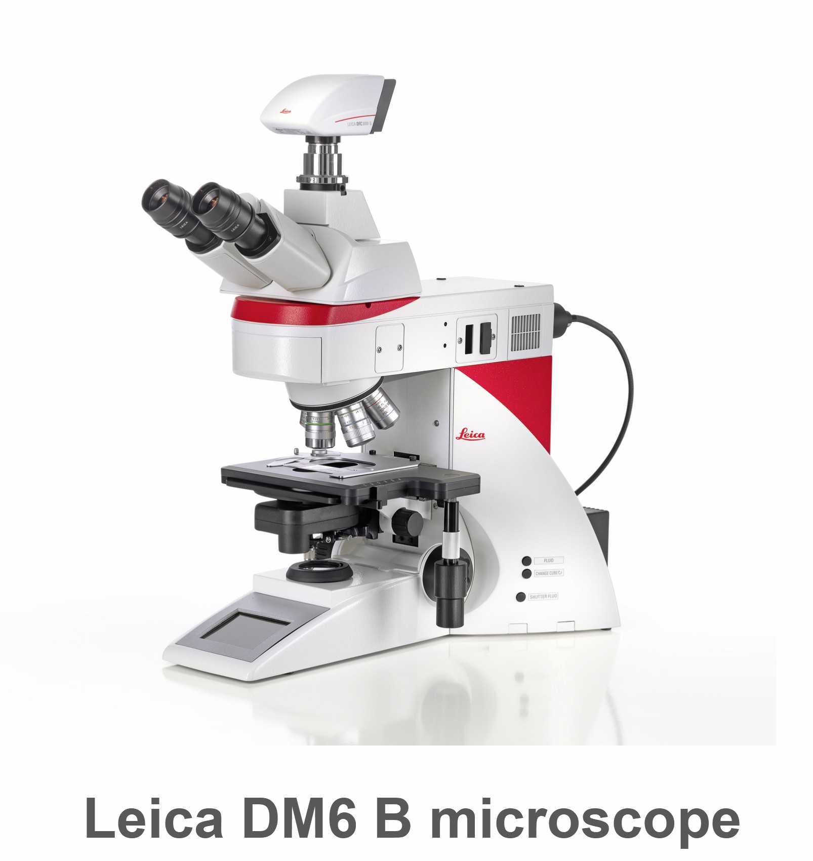 leica dm6 B microscope