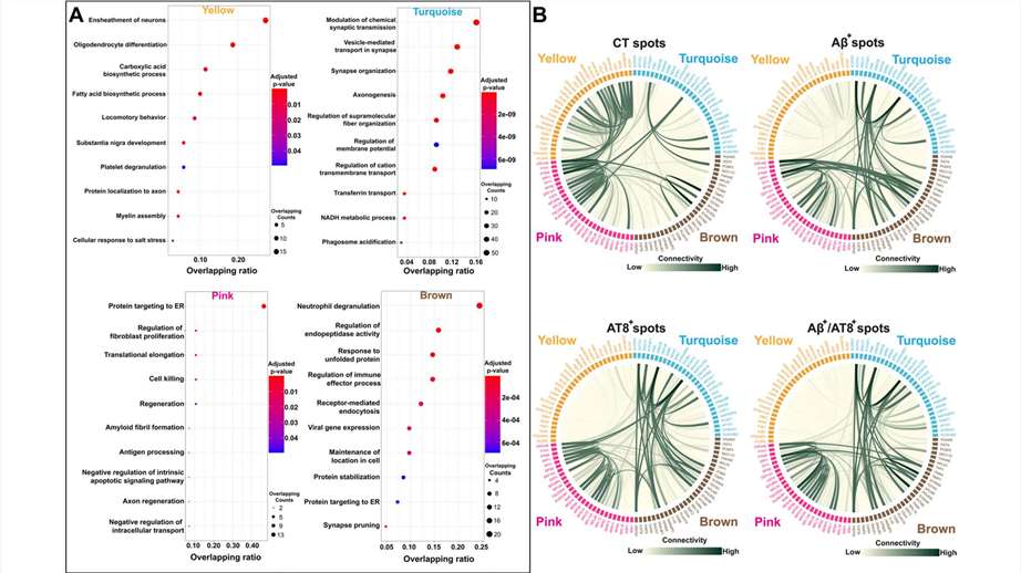 co-expression analysis