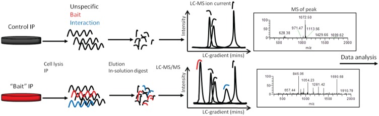 Diverse Samples in LC-MS/MS Protein Identification