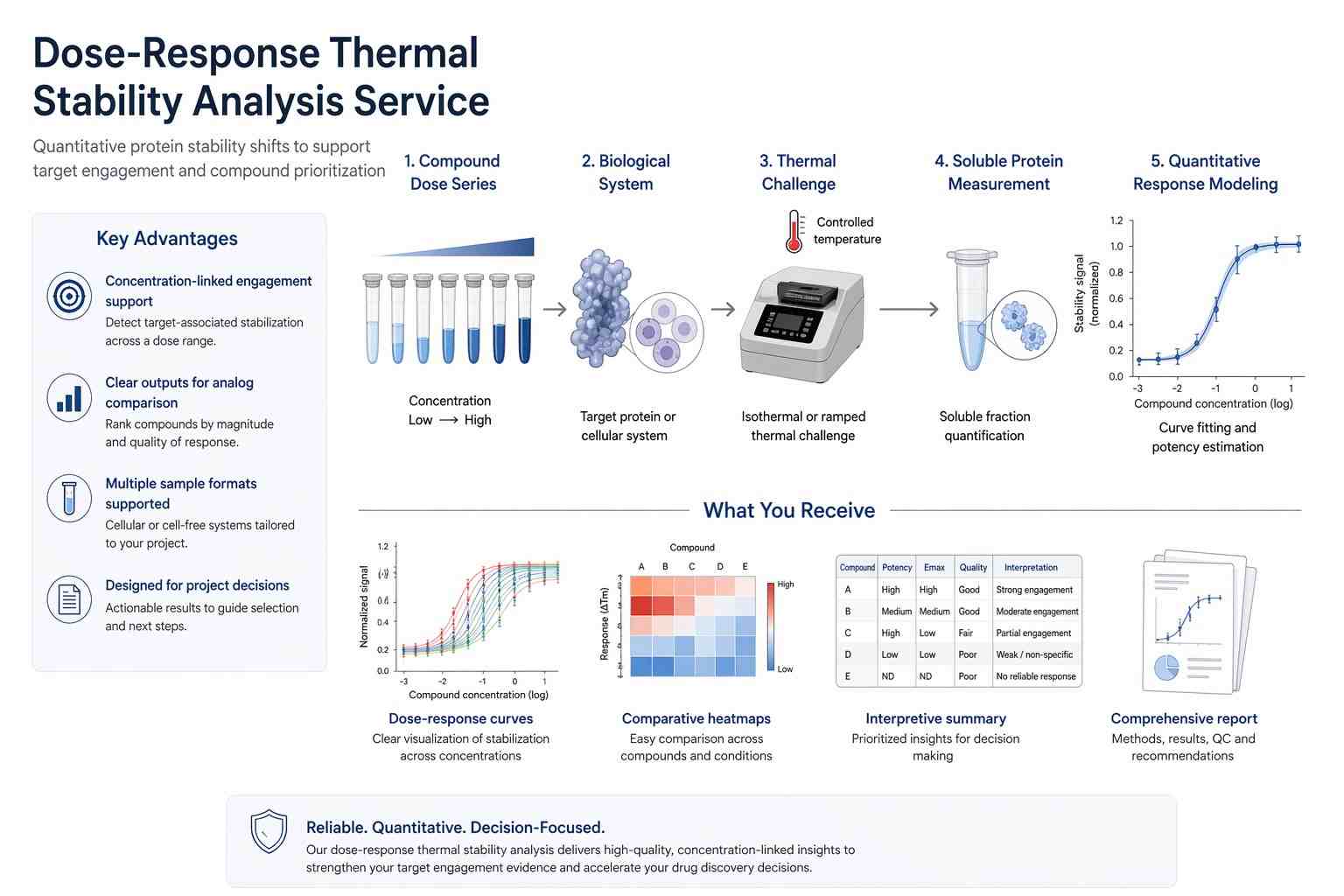 Dose-Response Thermal Stability Analysis workflow and value summary for target engagement support