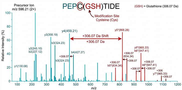 Adducted peptide MS/MS spectrum with site localization