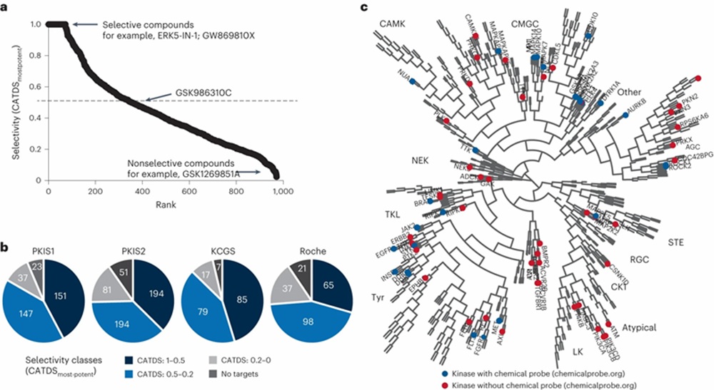 Fig. 2 from Klaeger et al. 2024 showing chemical proteomics profiling of kinase inhibitors with kinobeads competition and orthoganal SPR validation of drug-kinase interactions.