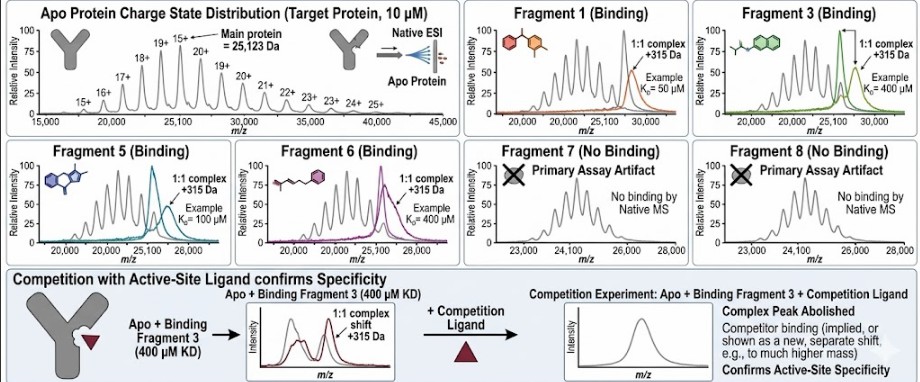 Native ESI-MS mass spectra showing protein peaks with and without compound binding, demonstrating direct detection of compound-target complex by mass shift.