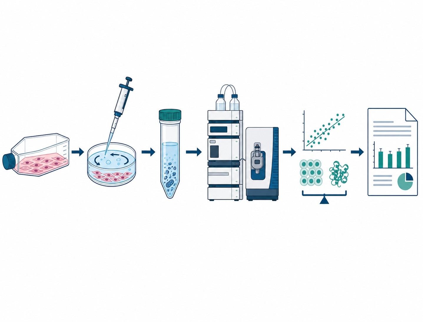 Intracellular drug uptake and retention workflow diagram showing six steps from cell culture and compound treatment through wash and quench, cell lysis, LC-MS/MS analysis, data normalization, and final deliverable report generation.