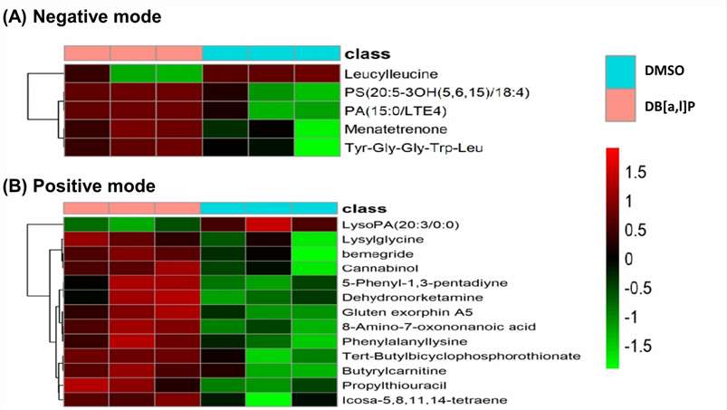 Carcinogen-induced salivary metabolic reprogramming study — phosphatidic acid enrichment and lipid pathway alteration