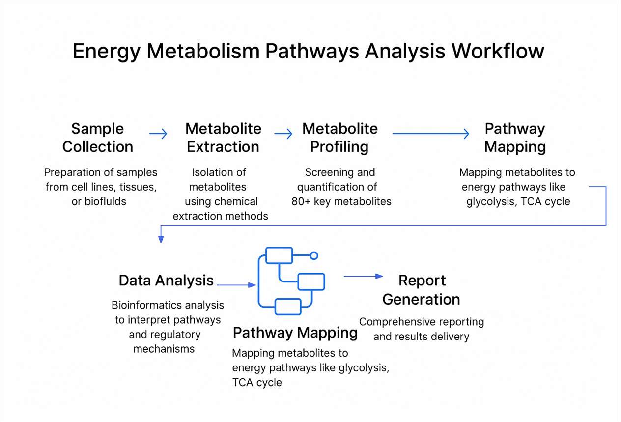 Energy Metabolism Pathways Analysis Workflow