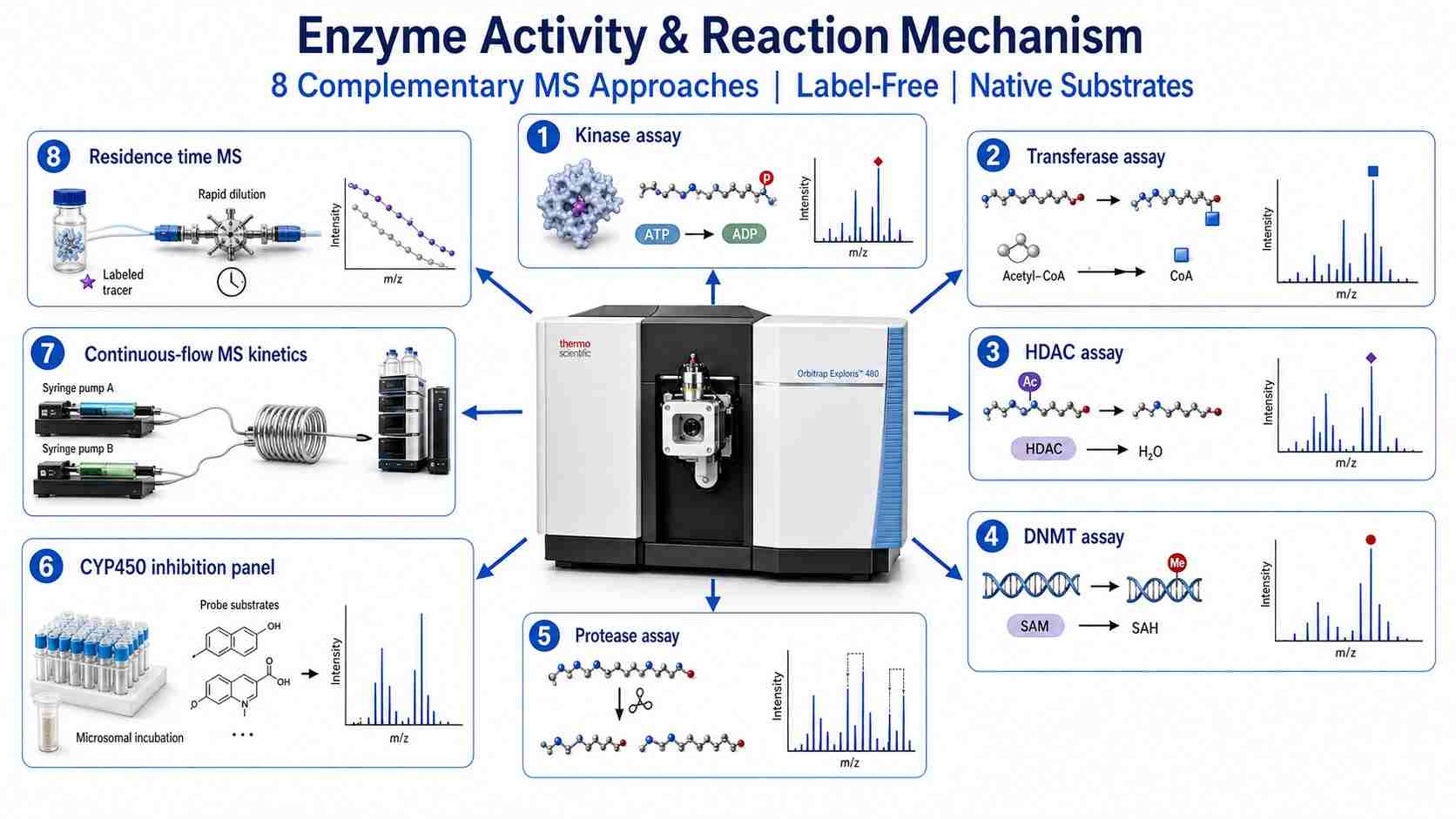 Mass spectrometry-based enzyme activity and reaction mechanism platform showing eight complementary MS approaches for label-free enzyme characterization in drug discovery.