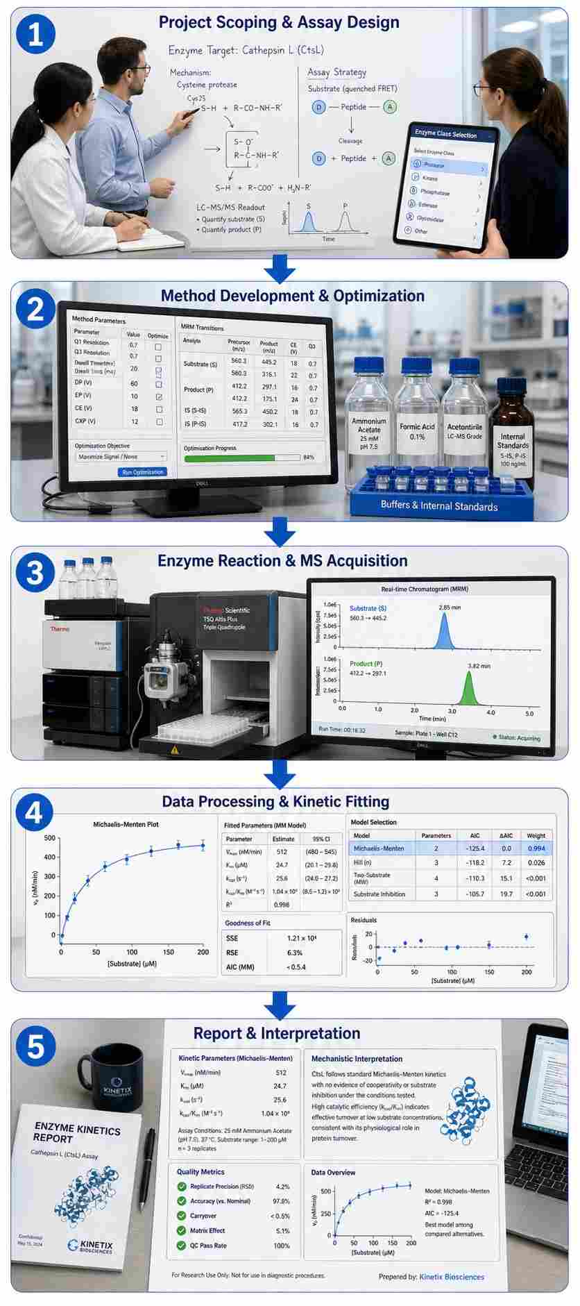 Enzyme activity MS workflow diagram showing five steps from project scoping through assay design, method development, MS acquisition, data processing, and final report delivery.