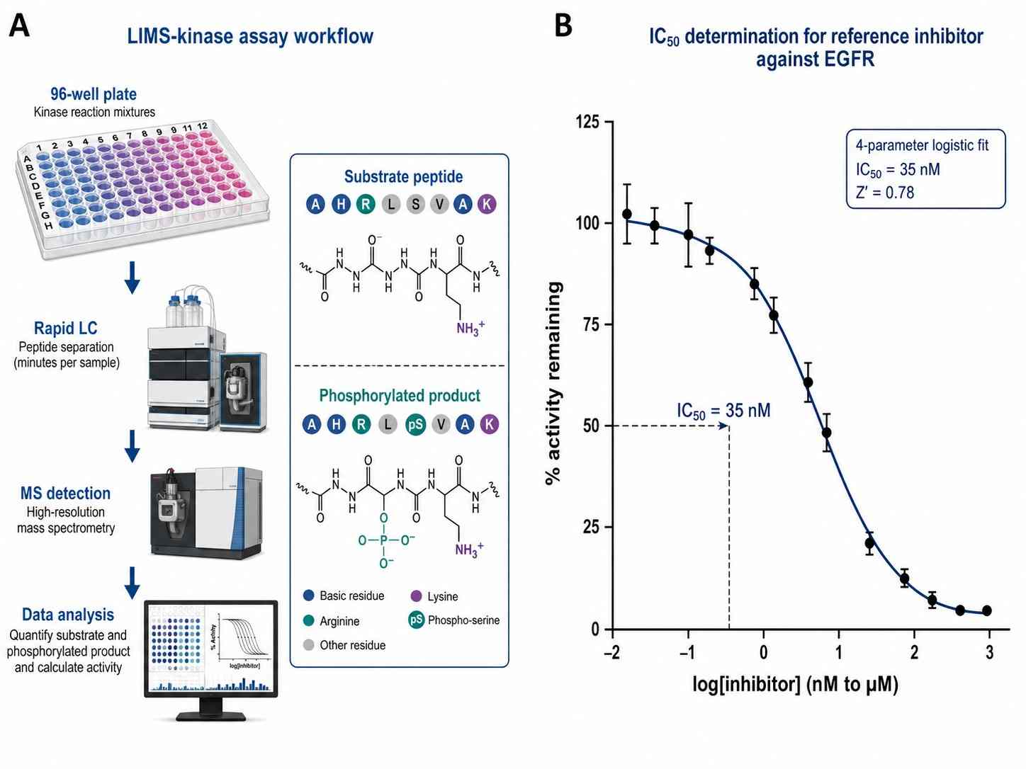 LIMS-Kinase workflow schematic showing label-free LC-MS-based kinase activity measurement with 96-well plate format and automated data analysis (adapted from Meyer et al. 2023, Cell Reports Physical Science).