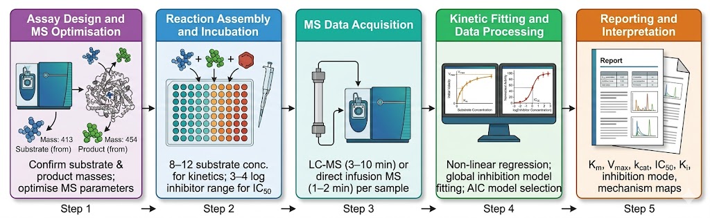 Enzyme activity screening by MS analytical workflow: assay design and MS parameter optimisation, reaction assembly and incubation in 96-well plates, LC-MS or direct infusion MS data acquisition, Michaelis-Menten kinetic fitting and IC50 determination, and comprehensive data reporting with inhibition mechanism classification.