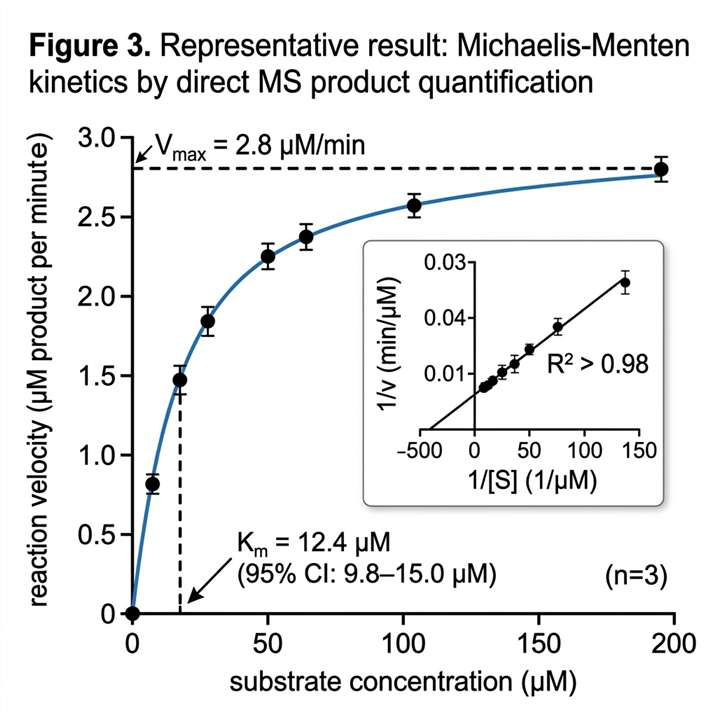 Michaelis-Menten kinetic plot from MS-based enzyme activity measurement: reaction velocity (product abundance per minute) plotted against substrate concentration in micromolar, showing a hyperbolic fit with Km and Vmax annotated.