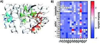 Figure from Zhang et al. 2022, Chemical Science, showing label-free MALDI-TOF MS screening results for cyclodipeptide synthase directed evolution: mass spectra identifying the new cFV product from the F186L mutant, and MS/MS fragmentation confirming product identity.