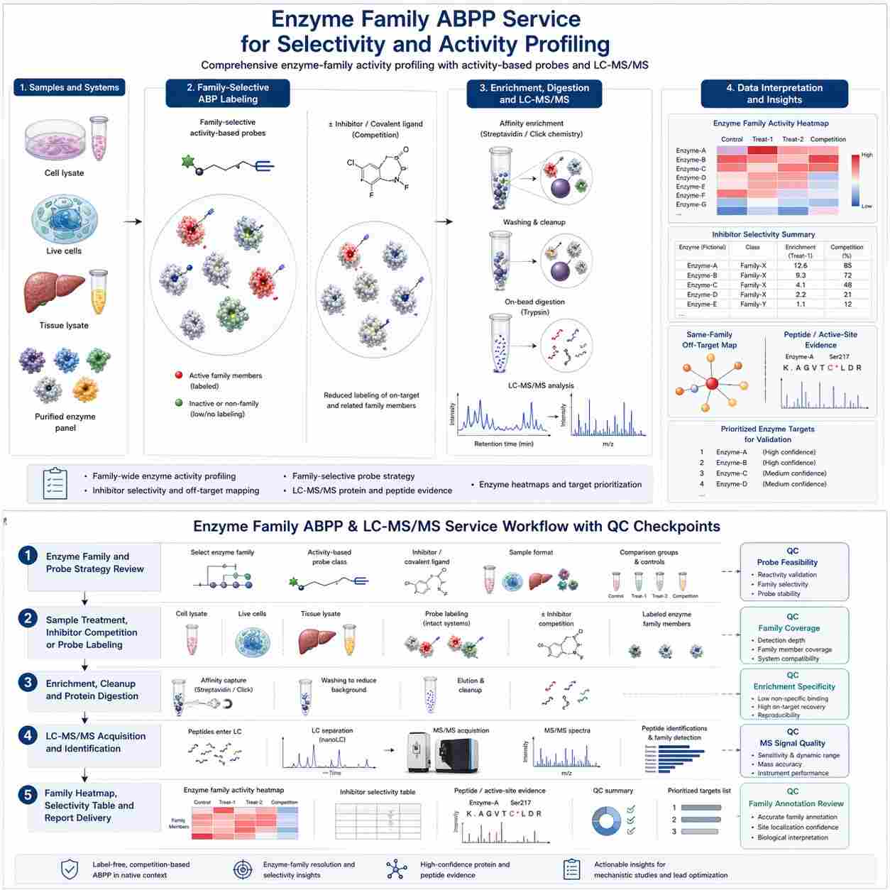 Enzyme family ABPP workflow for selectivity profiling and LC-MS/MS target prioritization.