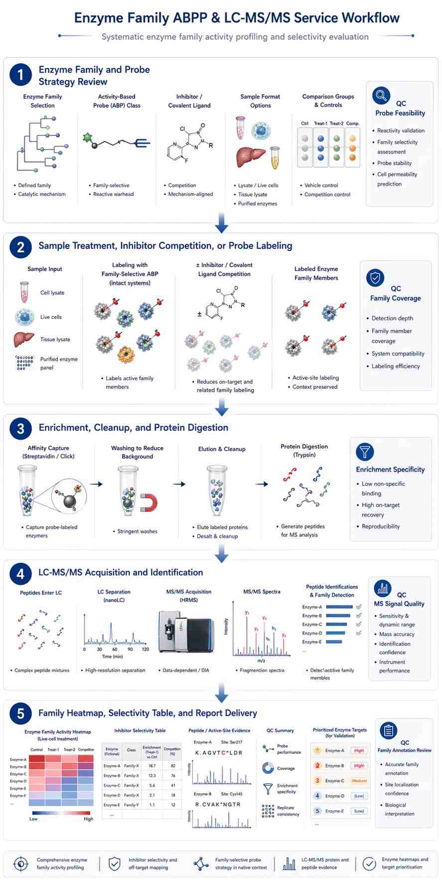 Vertical enzyme family ABPP workflow with probe feasibility, labeling, enrichment, LC-MS/MS, and family annotation.