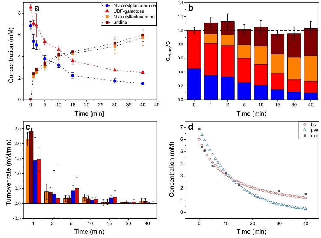 FIA-ESI-MS time-course data for β-1,4-galactosyltransferase reaction showing substrate consumption and product formation (Fig. 5 from Thiele et al. 2024).