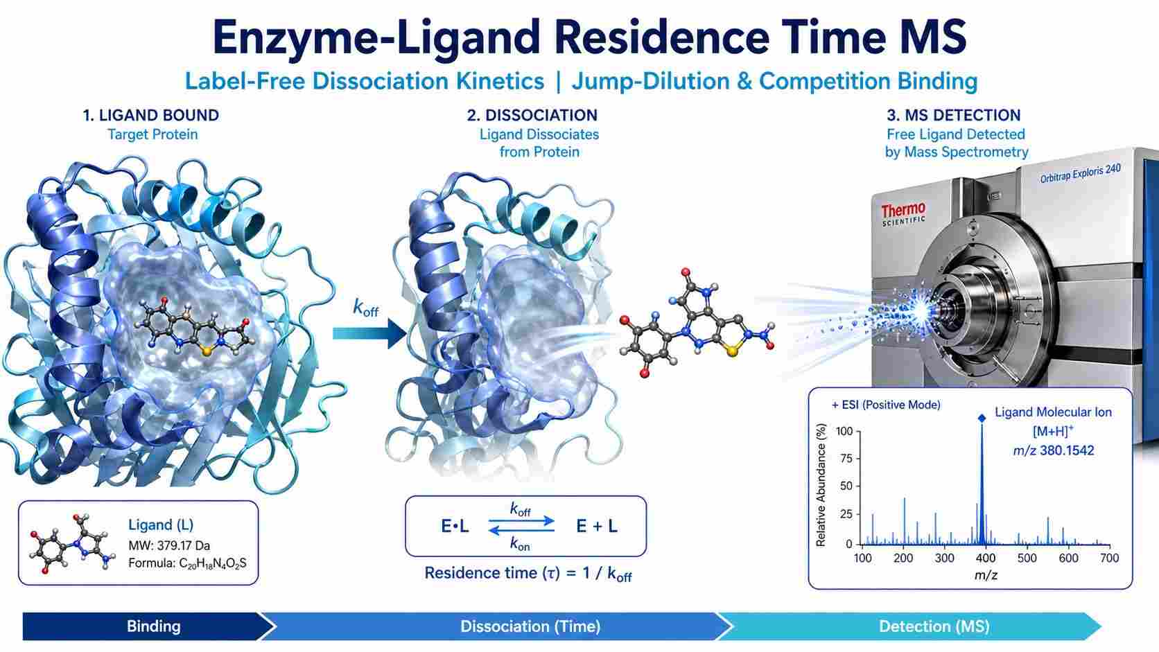Enzyme-ligand residence time MS platform showing dissociation kinetic measurement workflow with mass spectrometry detection.