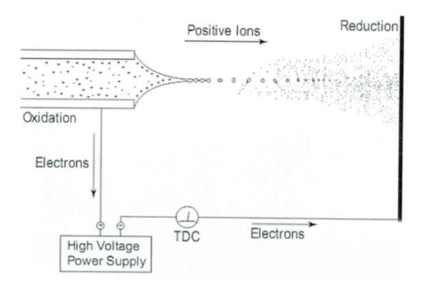 ESI-MS Intact Protein Analysis