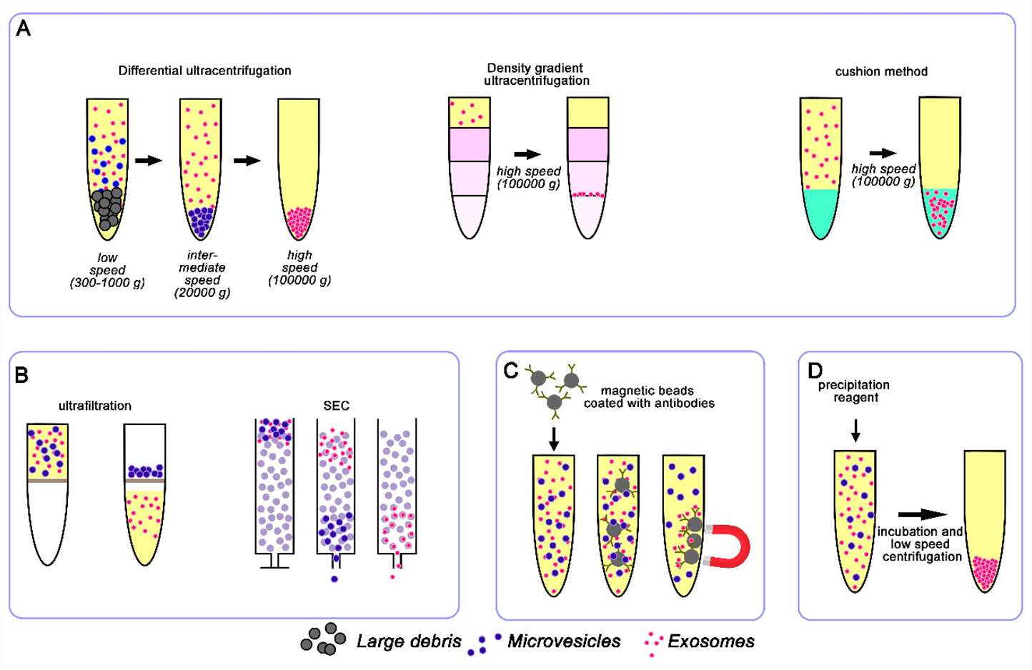 exosome isolation techniques