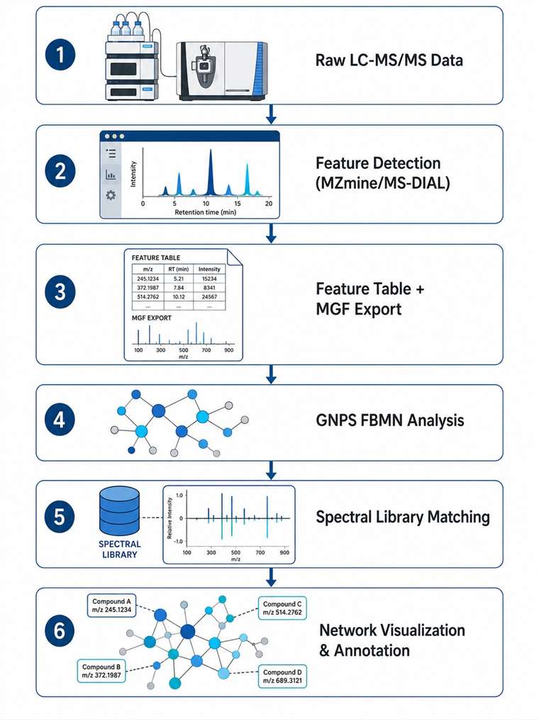 FBMN workflow diagram showing six steps from raw data to network visualization