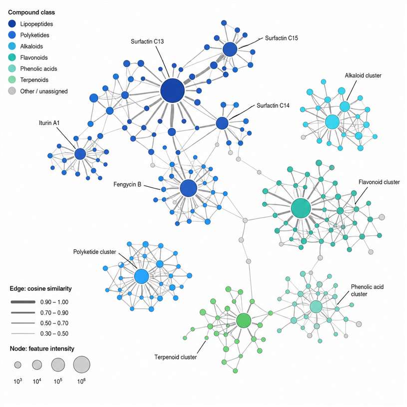 FBMN molecular network visualization with color-coded compound class clusters