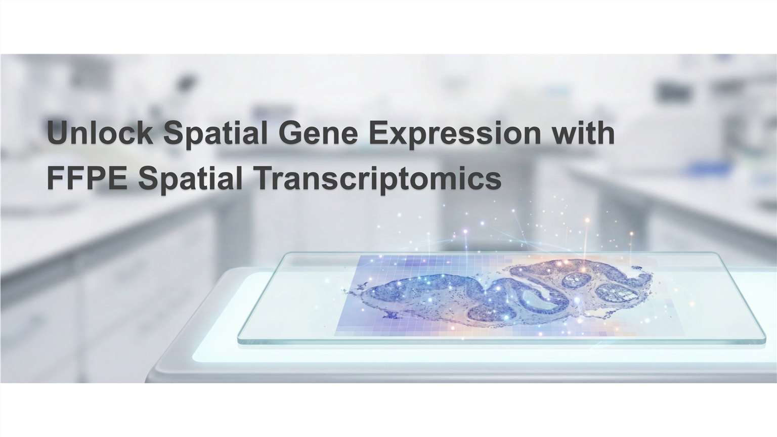 hero image for FFPE spatial transcriptomics
