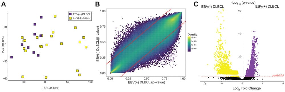 PCA plot showing distinct clustering of tumor methylome groups