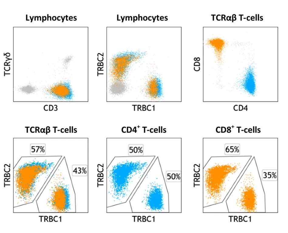 Representative peripheral blood flow cytometry findings on a healthy donor showing polytypic TRBC expression on total, CD4+ (cyan) and CD8+ (orange) T-cells