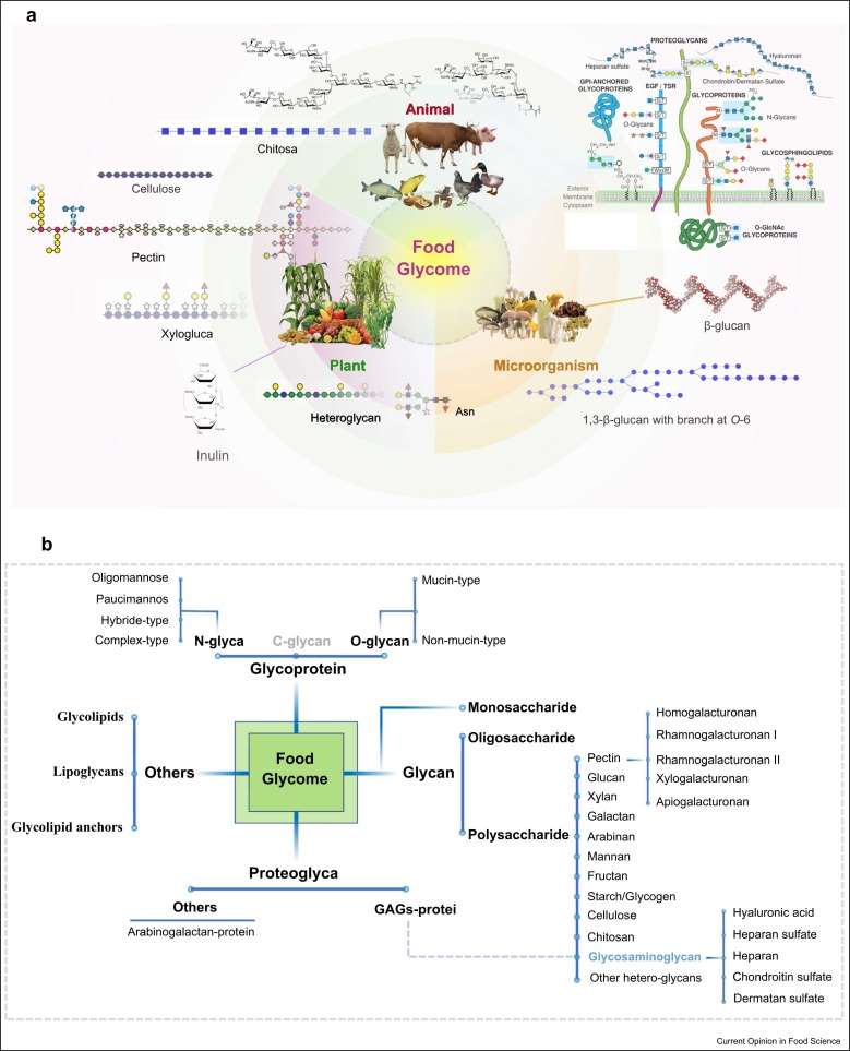 Food Glycomics in Nutrition and Health