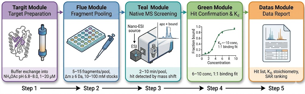 FBLD by native MS analytical workflow: target buffer exchange and reference spectrum acquisition, fragment library pooling in 96-well plates, nano-ESI native MS primary screening, hit confirmation by dose-response Kd titration, and deliverable compilation with hit list, binding curves, and interpretation report.