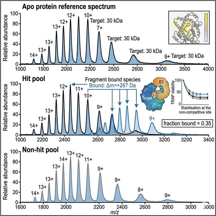 Native MS screening mass spectra showing three pools of fragments screened against a target protein: the top spectrum shows the apo protein charge-state envelope, the middle spectrum shows a hit pool with an additional peak series at protein + 287 Da, and the bottom spectrum shows a non-hit pool with only the apo protein peaks.