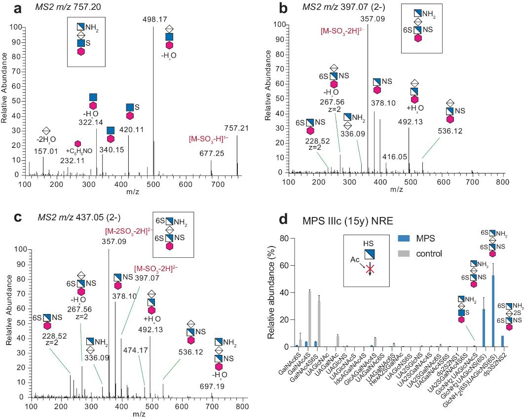 LC–MS/MS of GAG-NRE trisaccharide glycoforms.