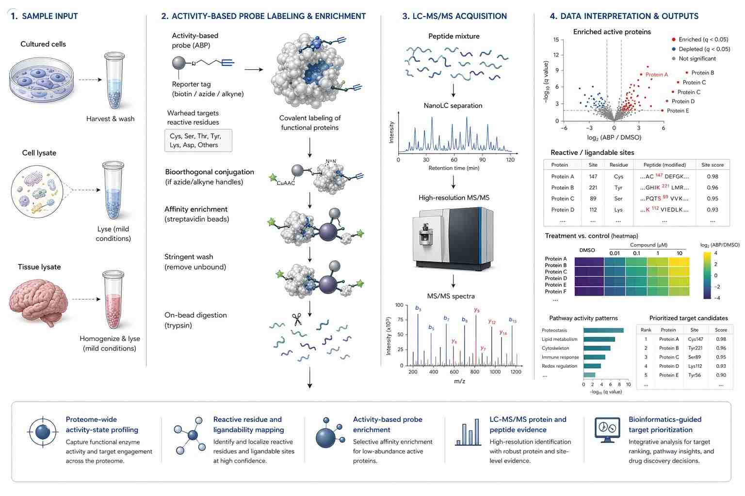 Global ABPP and LC-MS/MS chemoproteomics workflow for activity-state profiling and target prioritization.