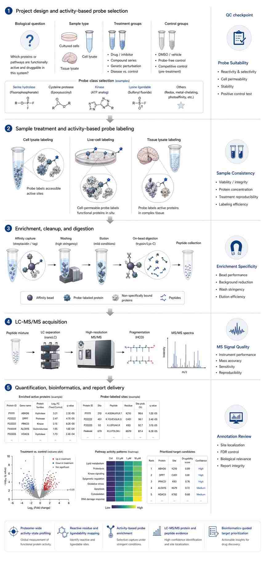 Vertical Global ABPP workflow with probe selection, labeling, enrichment, LC-MS/MS, and bioinformatics QC.