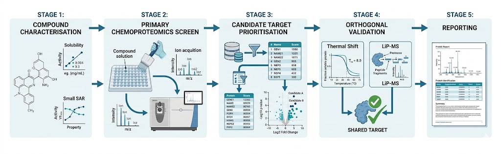 Global drug target identification workflow: compound characterisation and platform selection, primary chemoproteomics screen (PISA/TPP, ABPP, or PAL-MS), candidate target prioritisation by statistical analysis, orthogonal cross-platform validation, and final reporting with cross-validated target list.