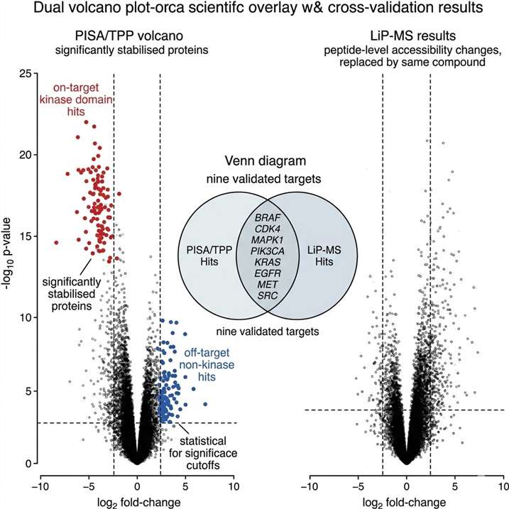 Cross-platform target convergence volcano plot from a PISA/TPP screen of a kinase inhibitor in live HCT116 cells, with on-target (kinase domain) and off-target (non-kinase) hits highlighted in red and blue respectively.