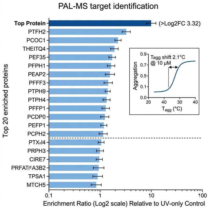 PAL-MS target identification bar chart showing enrichment ratios for the top 20 proteins captured by a clickable photoaffinity probe of a natural product, with ACAT1 as the top hit at >10-fold enrichment over control.