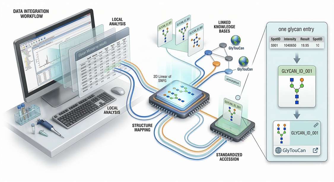 Figure 2. Standardizing Local Glycan Array Results for Public Database Integration